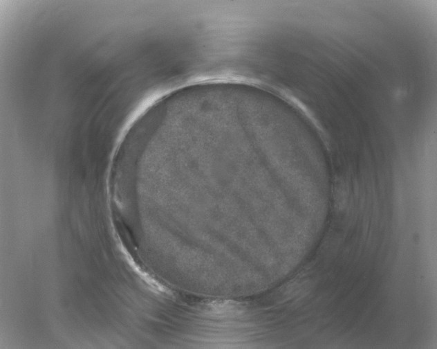 X0000078031416200611251544