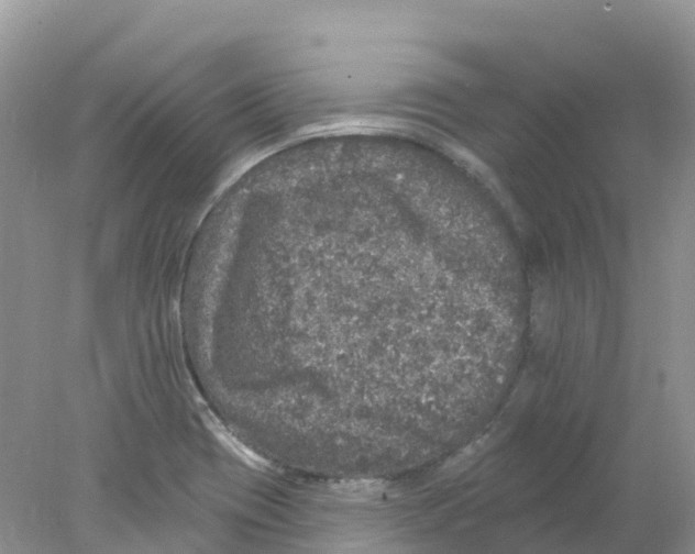 X0000078031417200611251544