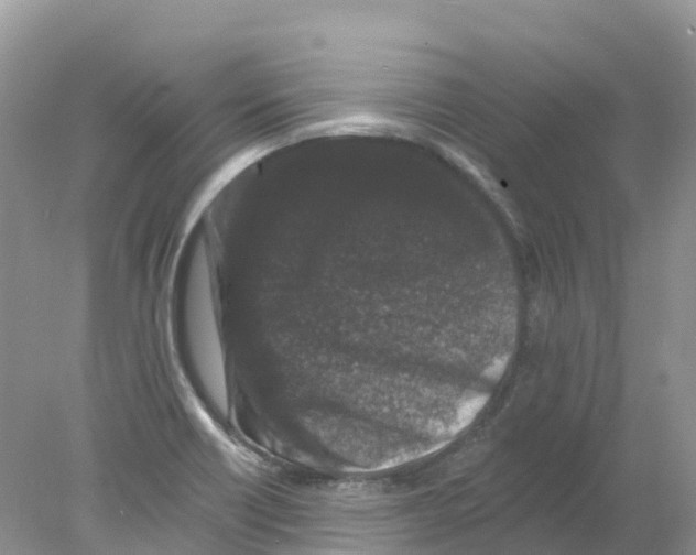 X0000078031418200611251544