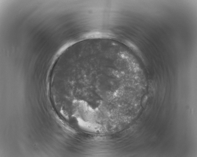 X0000078031419200611251544