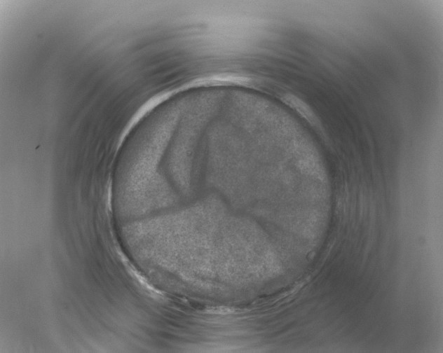 X0000078031420200611251544