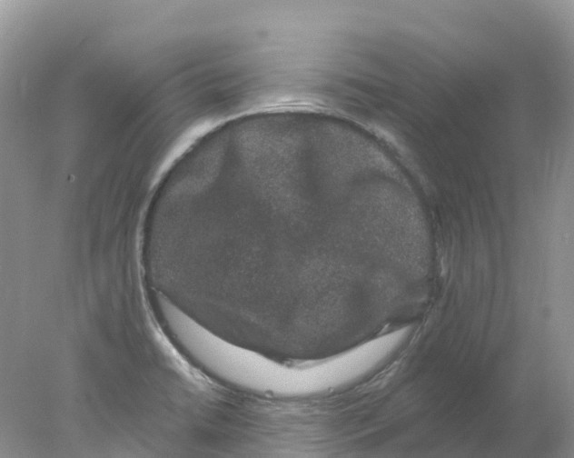 X0000078031422200611251544