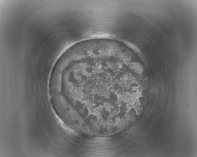 X0000078031423200611251544