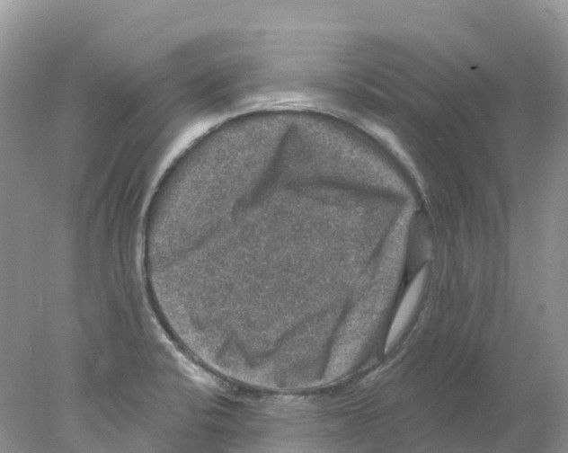 X0000078031424200611251544