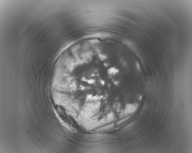 X0000078031425200611251544