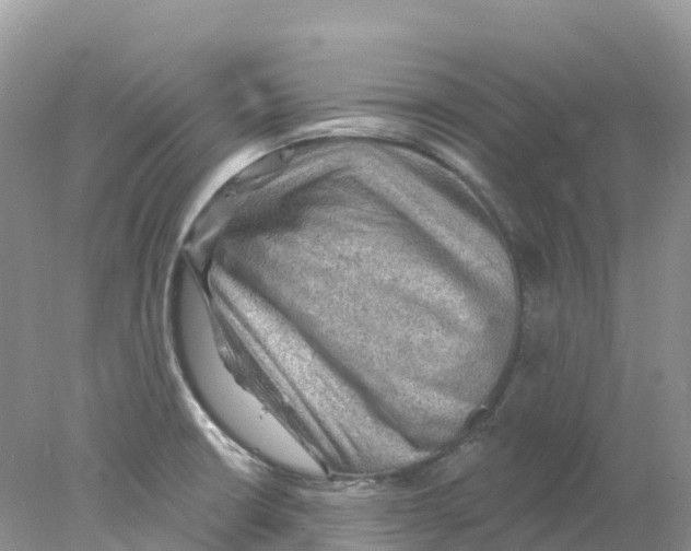 X0000078031426200611251544