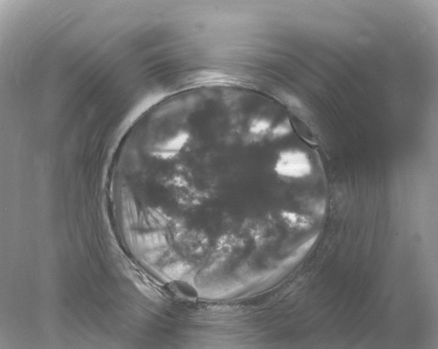 X0000078031427200611251544