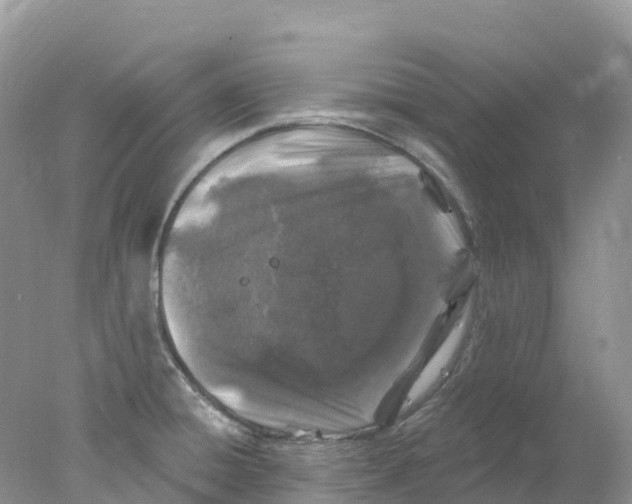 X0000078031428200611251544