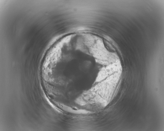 X0000078031429200611251544