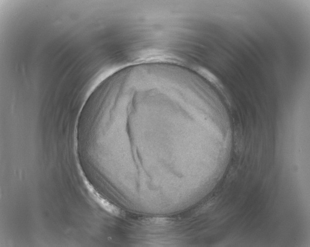 X0000078031431200611251544