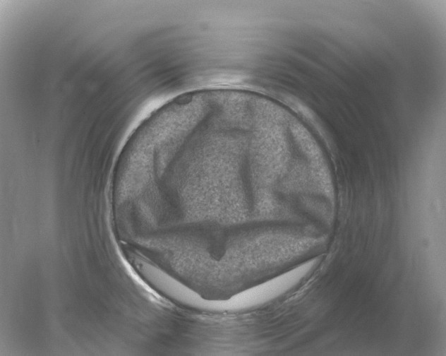 X0000078031432200611251544