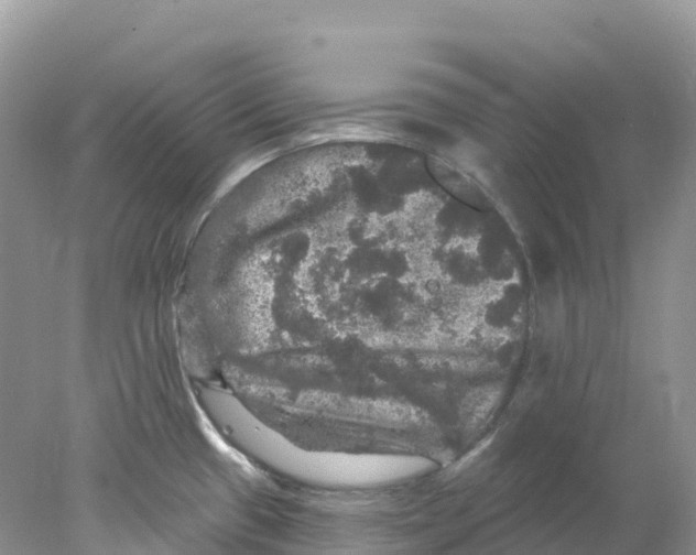 X0000078031433200611251544