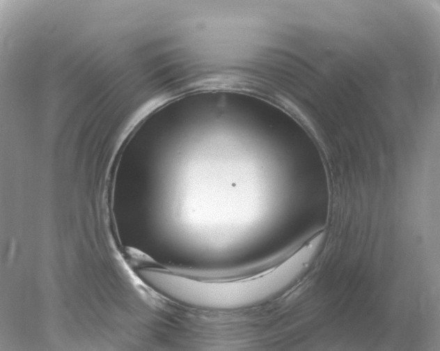 X0000078031434200611251544