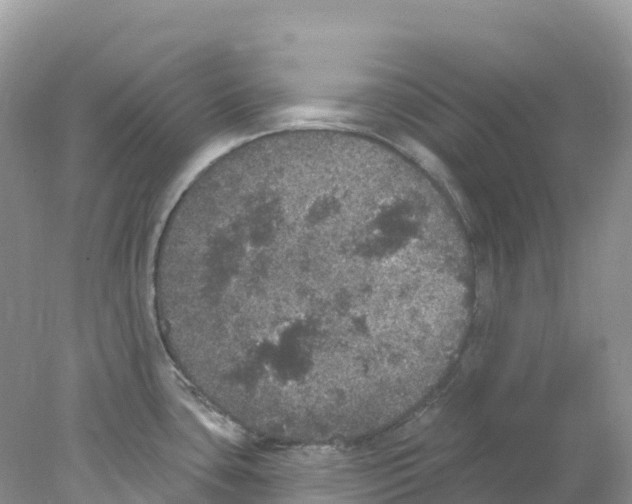 X0000078031435200611251544