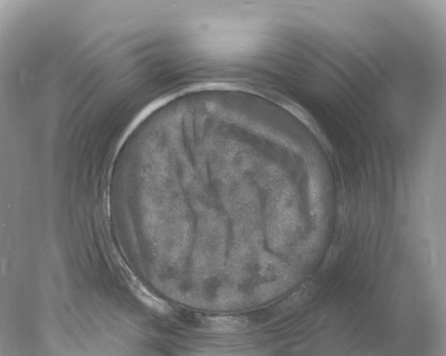 X0000078031436200611251544