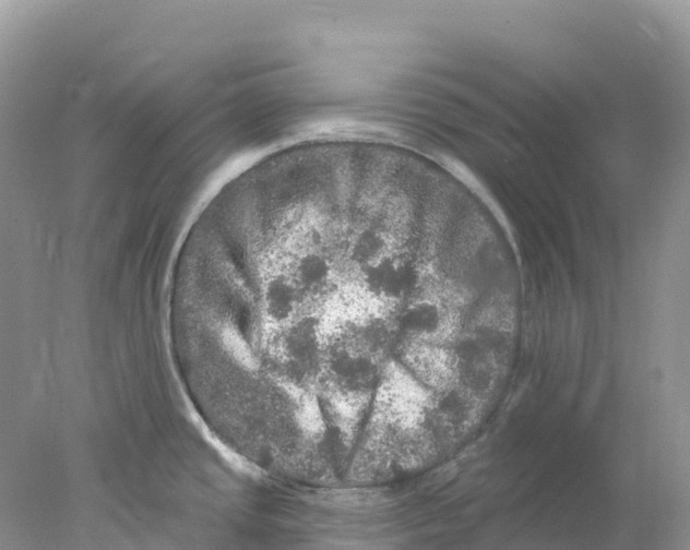 X0000078031437200611251544