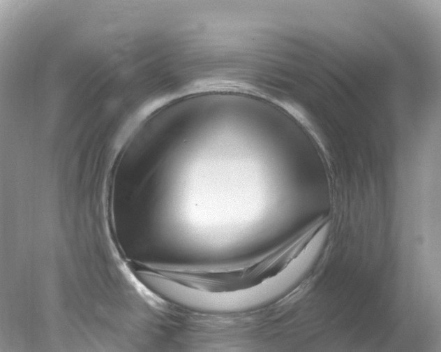 X0000078031438200611251544