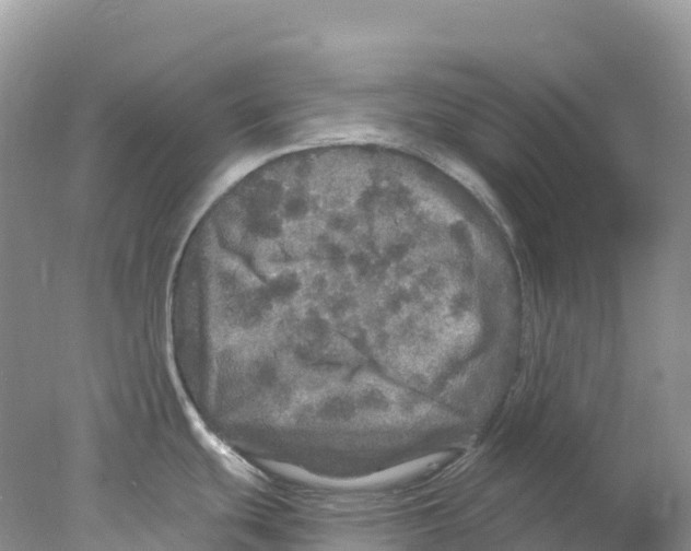 X0000078031439200611251544