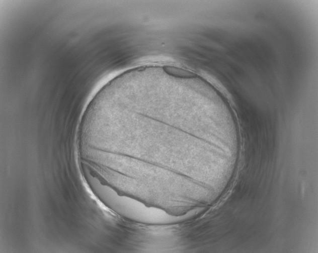 X0000078031440200611251544