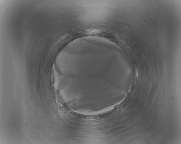 X0000078031441200611251543