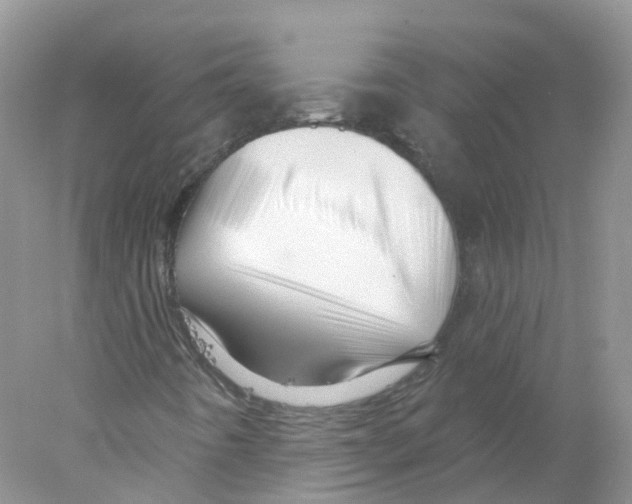 X0000078031442200611251543