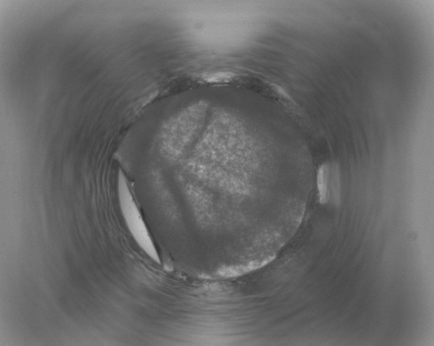 X0000078031443200611251543