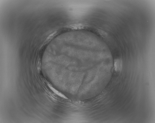 X0000078031444200611251543