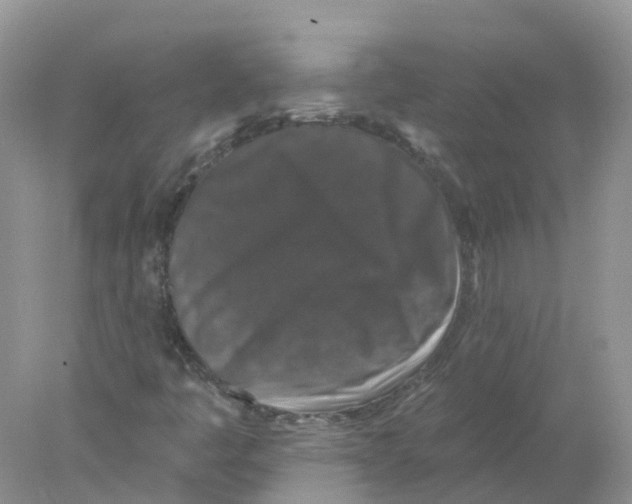 X0000078031445200611251543