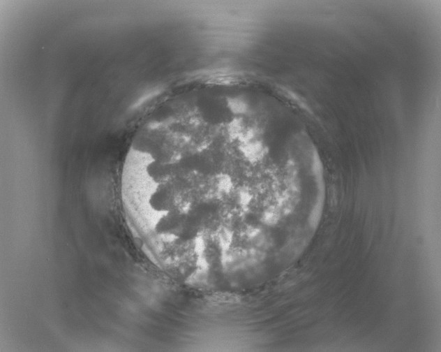 X0000078031446200611251543