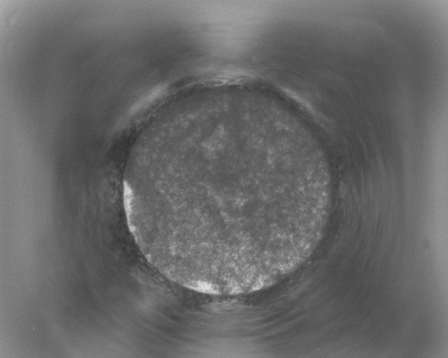 X0000078031447200611251543