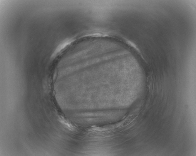 X0000078031448200611251543