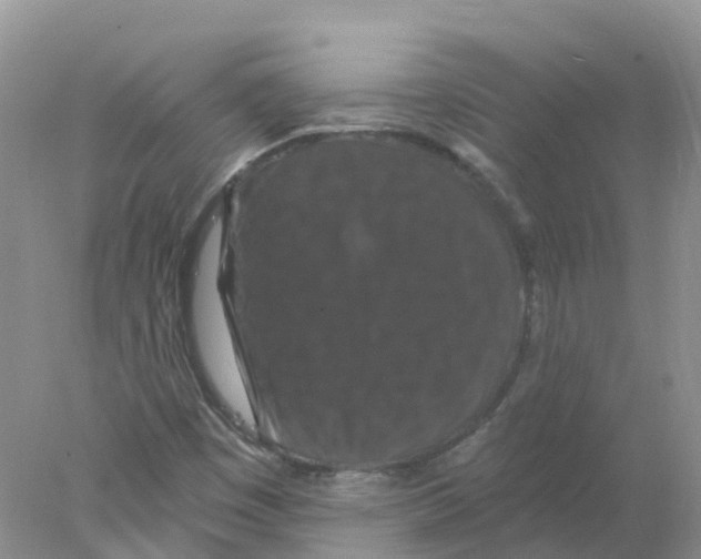 X0000078031449200611251543