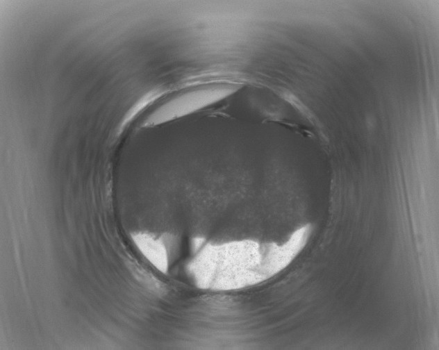 X0000078031450200611251543