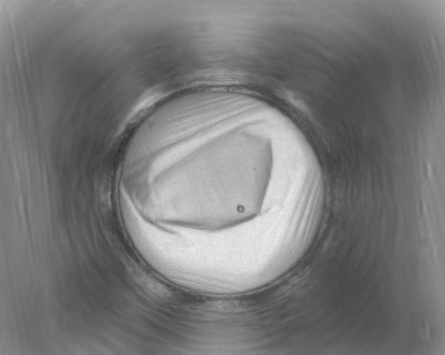 X0000078031451200611251543