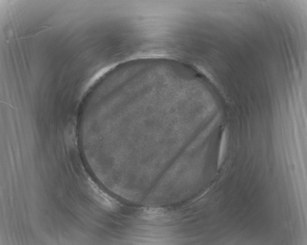 X0000078031452200611251543