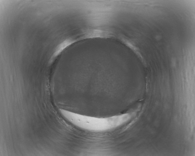 X0000078031453200611251543