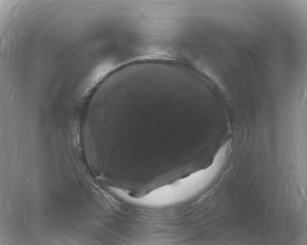 X0000078031455200611251543