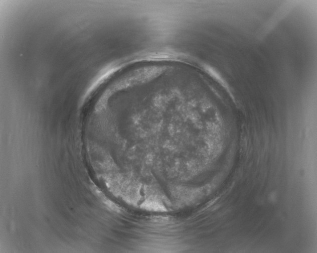 X0000078031456200611251543