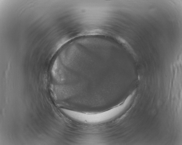 X0000078031457200611251543