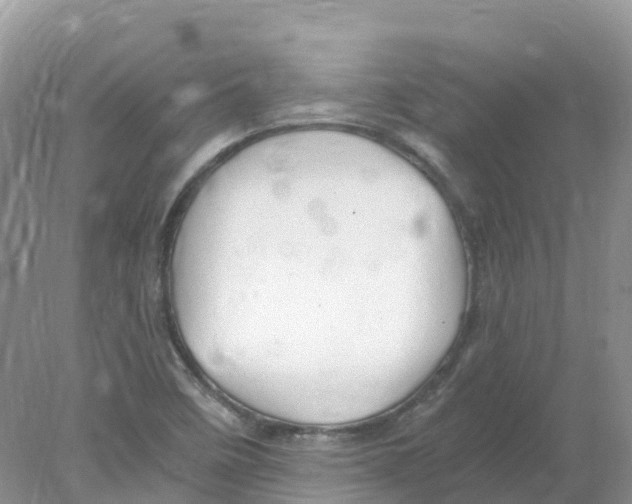 X0000078031458200611251543