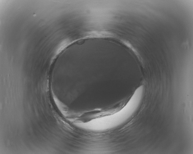 X0000078031459200611251543