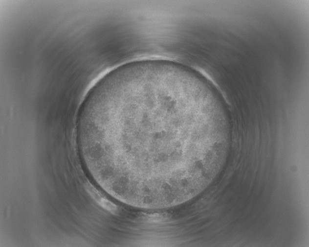 X0000078031460200611251543