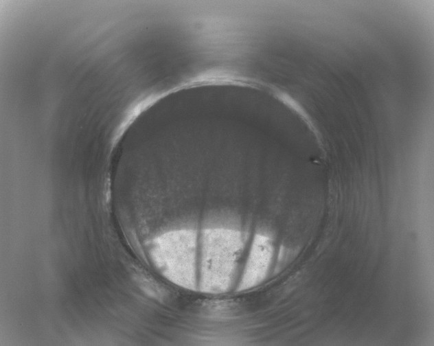 X0000078031461200611251543