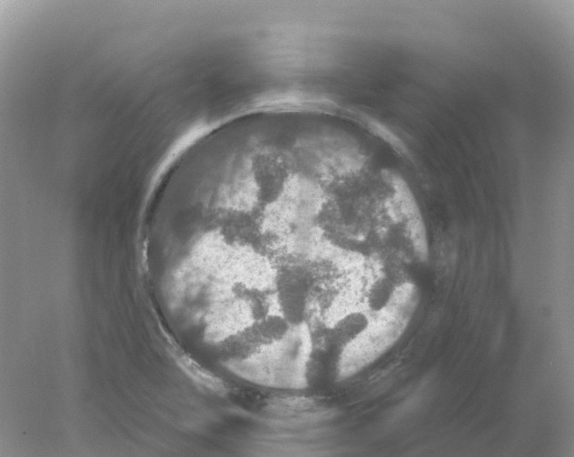 X0000078031462200611251543