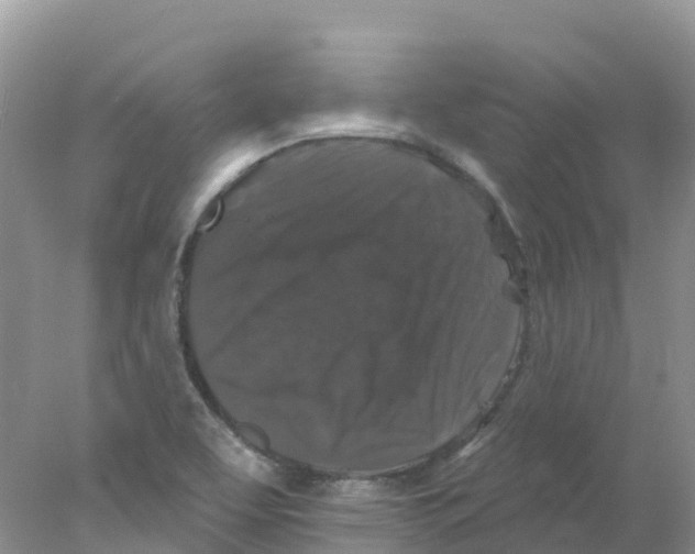 X0000078031463200611251543