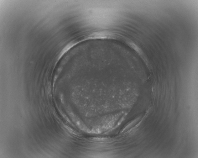 X0000078031465200611251543