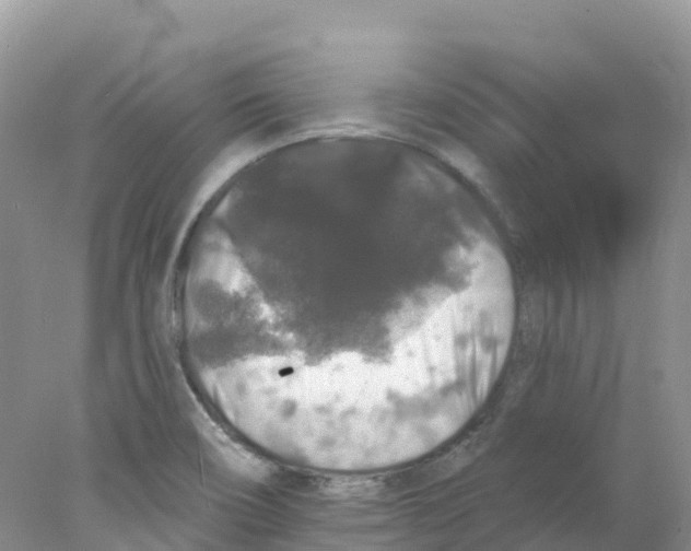 X0000078031466200611251543