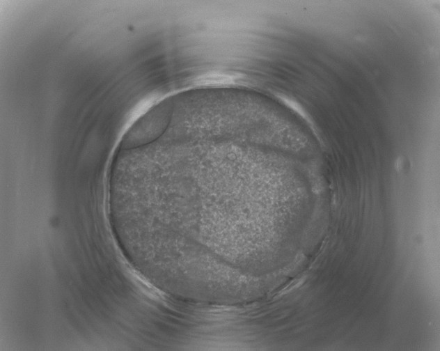 X0000078031467200611251543