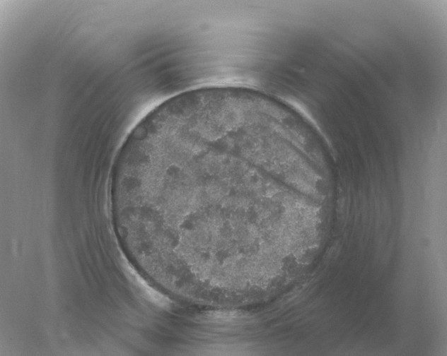 X0000078031468200611251543