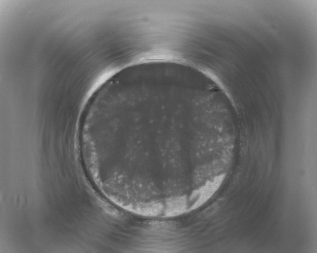 X0000078031469200611251543